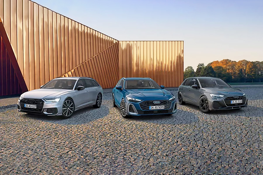 Audi GW plus Herbst Pic
