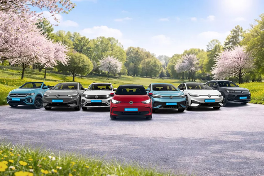 VW ZGW Frujahr pic