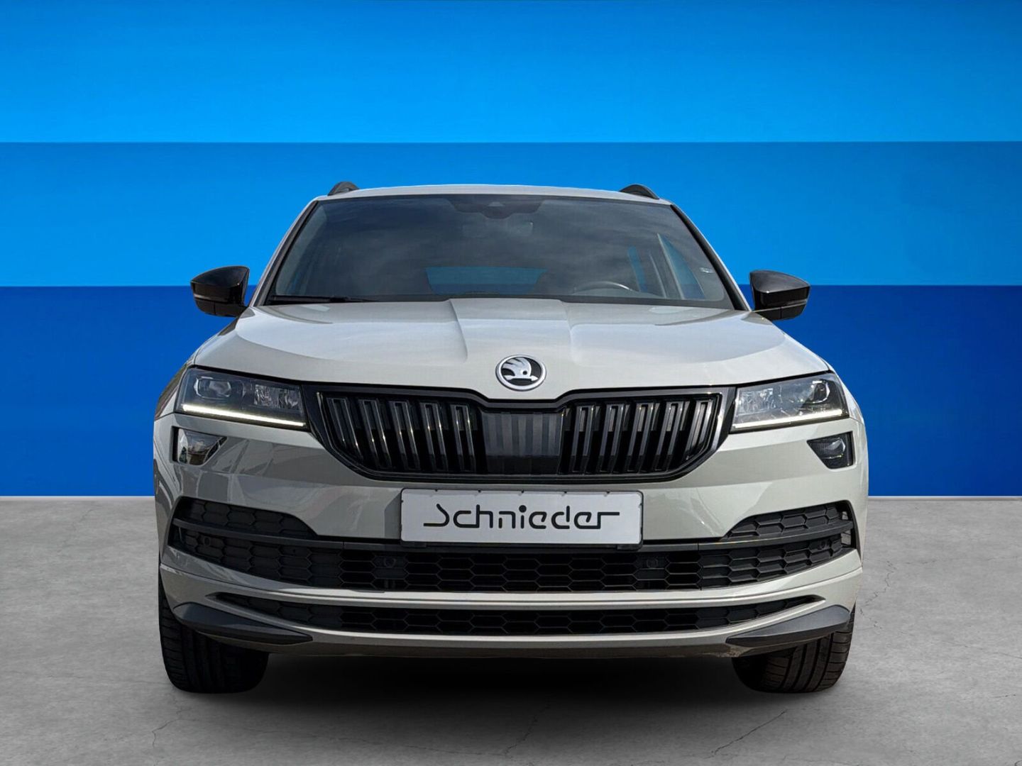 Fahrzeug 8 Fahrzeugabbildung SKODA Karoq 1.5 TSI ACT Sportline AHK Kamera Clima - mit KI generiert/bearbeitet