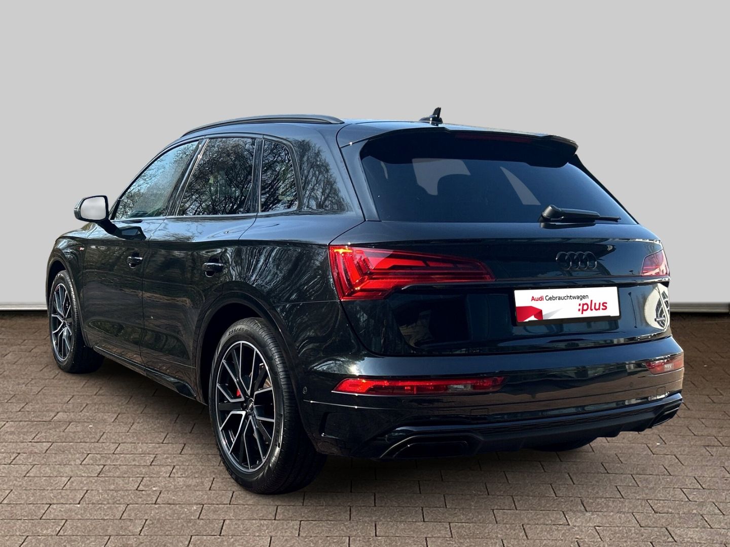 Fahrzeugabbildung Audi Q5 50 TDI quattro S Line+Matrix+LED+B&O+Kamera