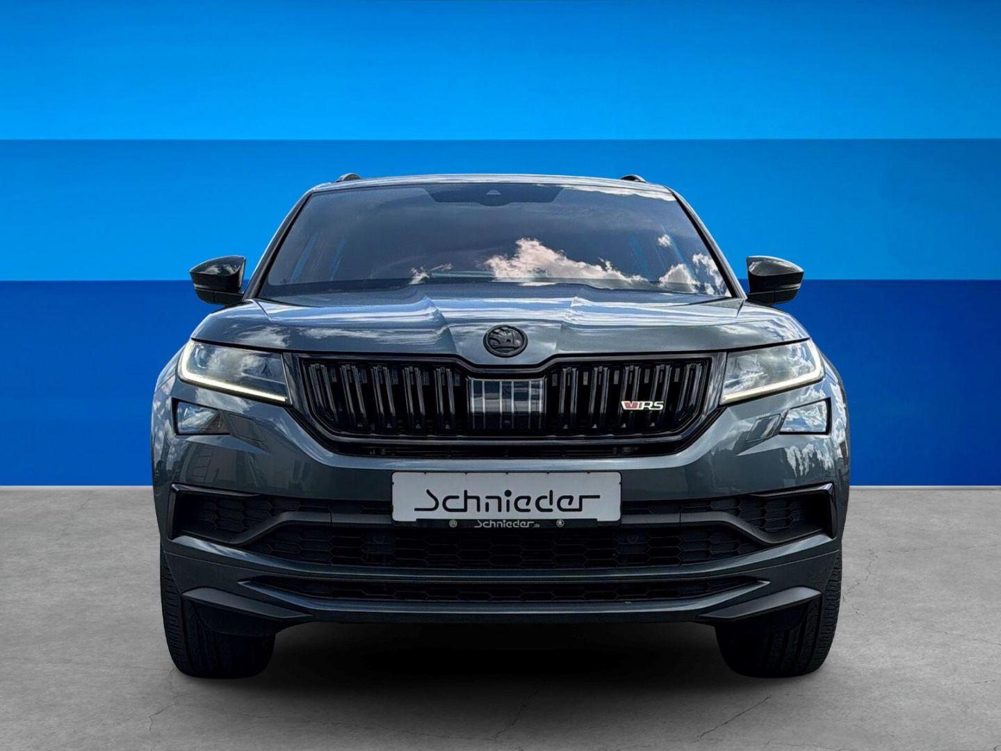 Fahrzeug 6 Fahrzeugabbildung SKODA Kodiaq 2.0 Bi-TDI RS 4x4 REAR VIEW AHK Navi